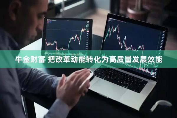 牛金财富 把改革动能转化为高质量发展效能